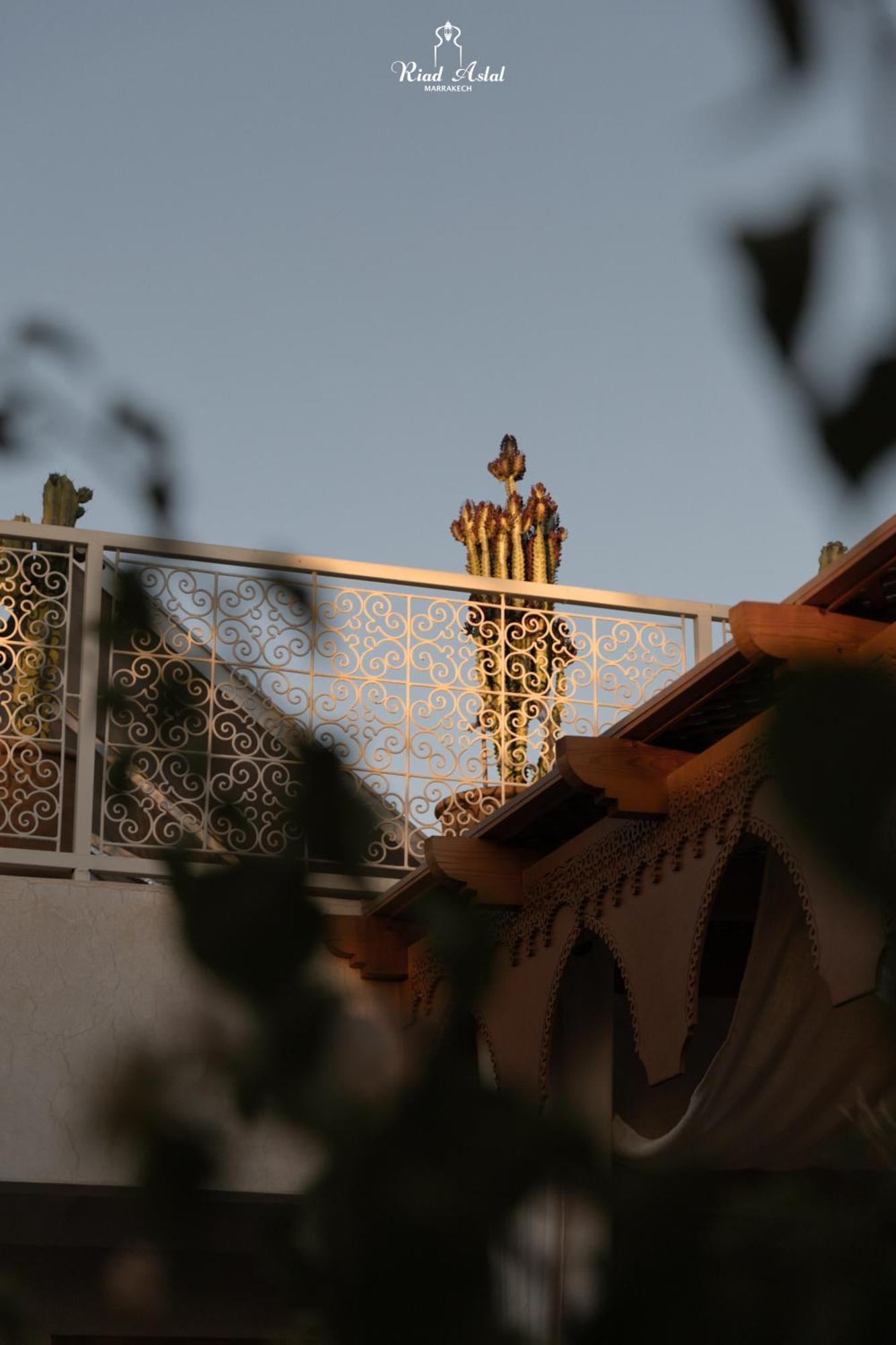 Riad Aslal Marakéš Exteriér fotografie